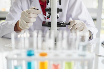 Wall Mural - a scientist hands working in laboratory with test tube microscope and solutions.