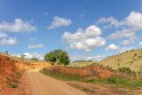 Fototapeta Sawanna - Estrada rural brasileira