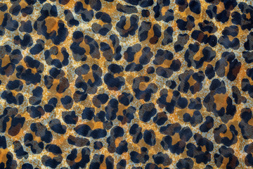 Leopard print, fabric pattern