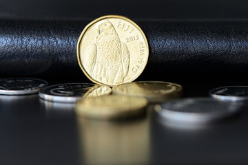 Two fijian dollars on a dark background close up