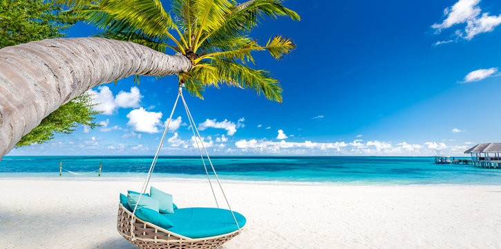 tropical beach background as summer landscape with beach swing or hammock and white sand and calm se