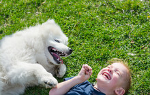The Boy Laughs Lying With A White Dog In The Park On The Grass In Spring.