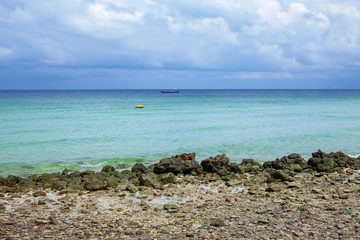 Wall Mural - calm seascape