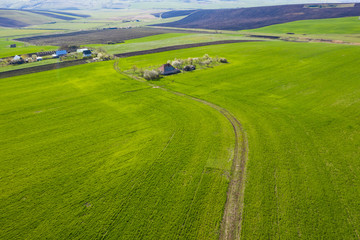 Spring fields top view.