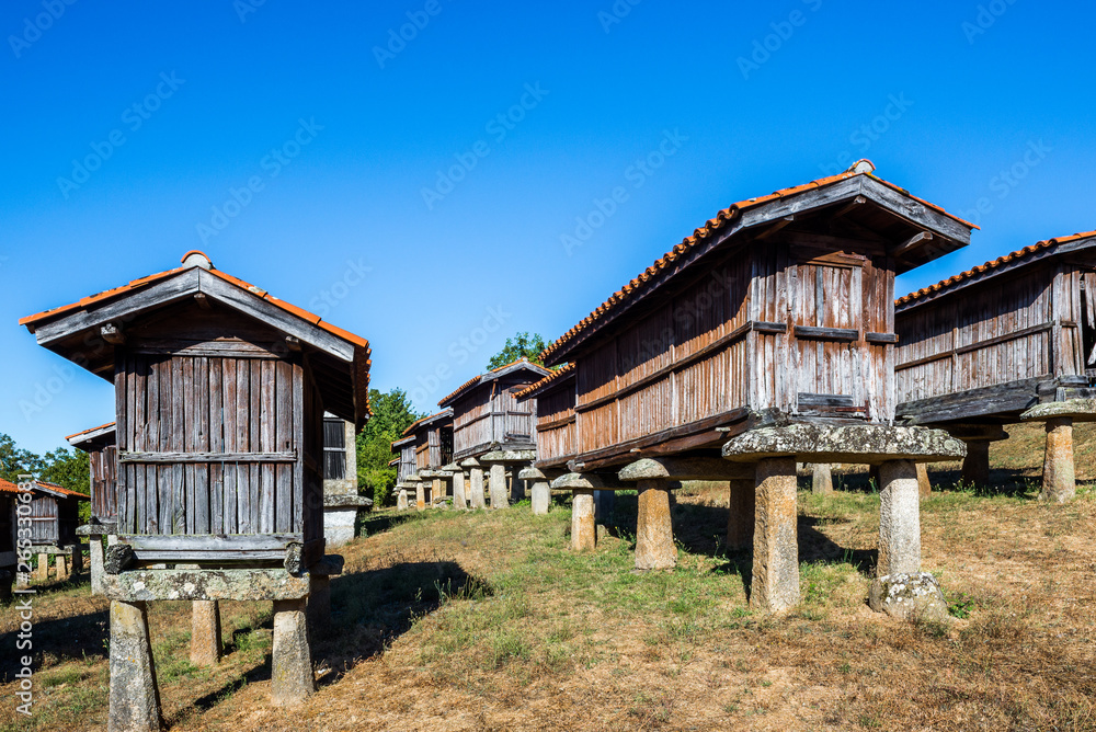 Horreos (granaries) of A Merca, the highest concentration of horreos in Galicia, Spain - obrazy, fototapety, plakaty 