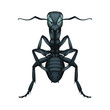 Realistic detailed ant illustration in vector style – corporation office worker metaphor