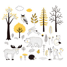 Autumn Forest Flat Hand Drawn Illustrations Set. Woody Flora And Fauna Design Elements. Woodland Animals And Trees Clip-arts. Isolated Scandinavian Decorative Nature Wildlife Creatures And Plants.