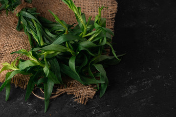 Bundle of fresh tarragon (estragon) isolated on dark stone background. Selective focus, Close up, Macro