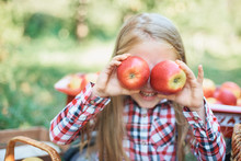 Girl With Apple In The Apple Orchard. Beautiful Girl Eating Organic Apple In The Orchard. Harvest Concept. Garden, Toddler Eating Fruits At Fall Harvest.
