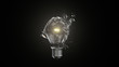 © MotionLoop - Isolated Incandescent Lightbulb Breaking