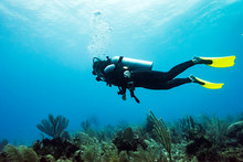 Scuba Diver At Joe's Wall Dive Site, Belize Barrier Reef; Belize