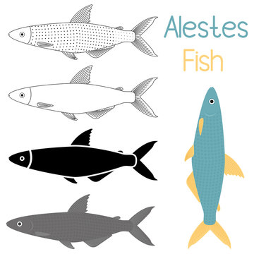 Fish icon set, Alestes liebrecht ii or Alestes ansorgii vector illustration