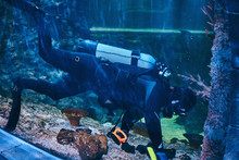 Close Up Photo Of A Scuba Diver Swimming Underwater In An Oceanarium