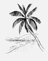 Tropical landscape with palm trees. Hand drawn outline converted to vector