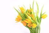 Fototapeta Tulipany - yellow tulips isolated on white background.