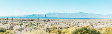 Panorama Of Palm Springs Salton Sea