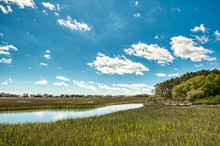 Puffy White Clouds And Blue Sky Over A Salt-marsh At Pawleys Island.