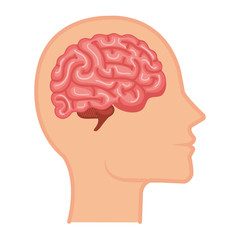 Sticker - profile with brain human organ