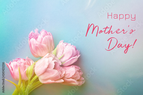 Pink tulips on turquoise background.