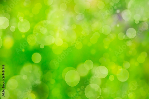 fondo verde de naturaleza con bokeh