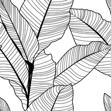 Tropical Jungle Banana Leaf Pattern, Black And White