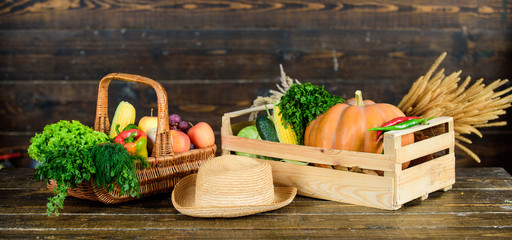 Fresh organic vegetables wicker basket. Fall harvest concept. Autumn harvest crops vegetables. Locally grown natural food. Farmers market. Vibrant and colorful vegetables. Homegrown vegetables