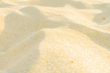 Wall Mural - Close-up Sand Fine beach sand in the summer sun