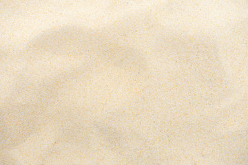 Wall Mural - Fine beach sand in the summer sun