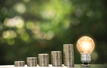 Energy saving light bulb  stacks of coins on nature background.