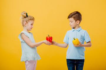 two young children, little boy and little girl in the hand of red and yellow pepper, healthy food concept, in blue T-shirt, isolated yellow background, copy space