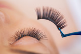 Fototapeta Tulipany - Woman Eye with Long Eyelashes. Beautiful Young Woman During Eyelash Extension