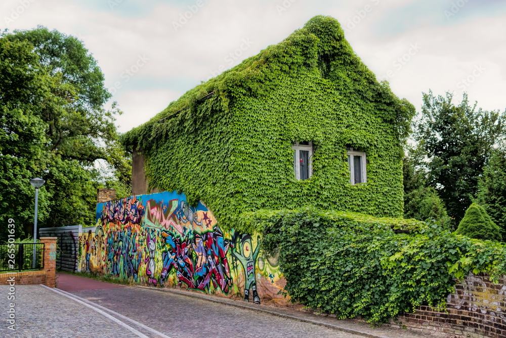 Stock-Foto Altes Haus mit Efeu in Oranienburg, Deutschland | Adobe Stock