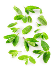 Poster - fresh peppermint leaves isolated on white, top view