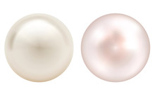 Realistic Vector Two Pearls