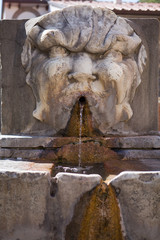 Wall Mural - Fontana del Boccalone