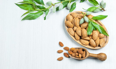 Top view Almond nuts in wooden shovel, almonds with shell in bamboo bowl on white table with green fresh raw almonds on almond tree branch. Almond background concept with copy space