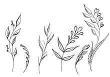 Hand Drawn  Illustrations Of Abstract Set Of Flowers Isolated On White. Hand Drawn Sketch Of A Flowers