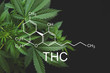 THC formula, Tetrahydrocannabinol . despancery business. cannabinoids and health, medical marijuana, Hemp industry, CBD and THC elements in Cannabis,Growing Marijuana,
