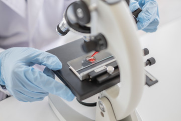 Wall Mural - a scientist hands working in laboratory with test tube microscope and solutions.