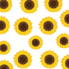 Poster - pattern of sunflowers isolated icon