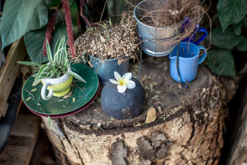 The blurred background of the shop decoration (small glass of water, vase, flowers) that is decorated on the wall or placed on a wooden table for customer service to relax during the service