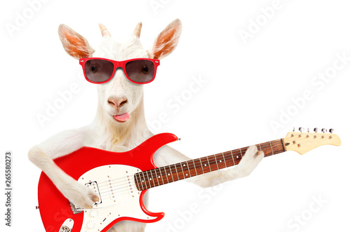 Fotografía Funny goat showing tongue in sunglasses with electric guitar isolated on white b
