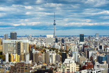 Fototapete - Panorama of Tokyo cityscape in Japan.
