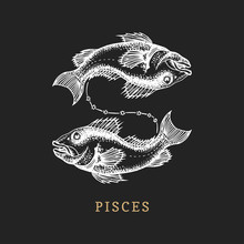 Pisces Zodiac Symbol, Hand Drawn In Engraving Style. Vector Graphic Retro Illustration Of Astrological Sign Fish.