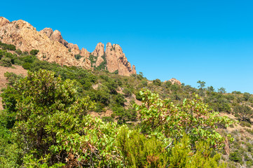 Mountain landscape in the Massif de l'Ésterel near Antheor