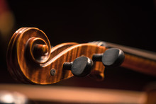 Double Bass Scroll And Tuning Pegs