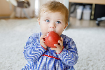 Little adorable baby girl eating big red apple. Vitamin and healthy food for small children. Portrait of beautiful child of 6 months