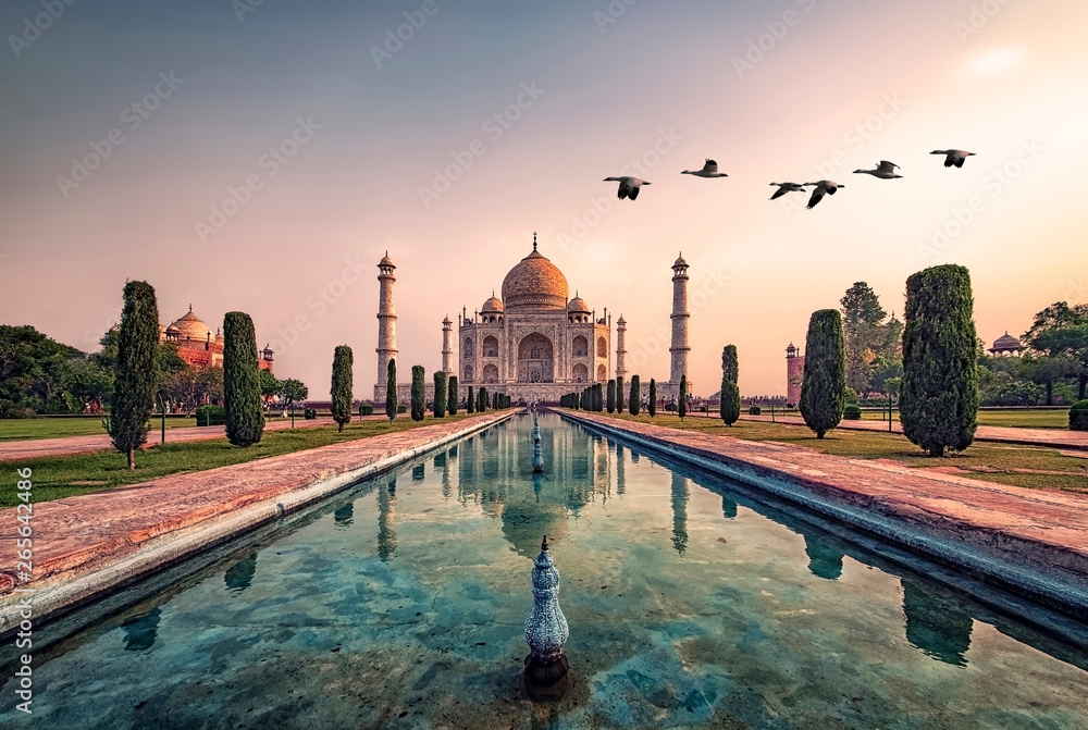 Taj Mahal in sunrise light, Agra, India - obrazy, fototapety, plakaty 
