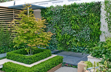 A Small Urban Environmental Eco Garden With A Vertical Living Plant Wall