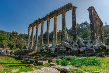 Wall Mural - Temple of Zeus Lepsinos. Euromus (Euromos) Ancient City, Milas, Mugla, Turkey.